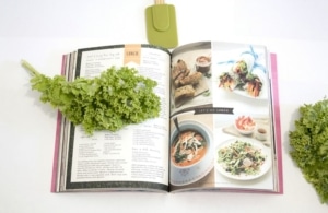 cannabis recipe book