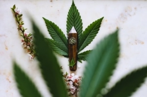 Cannabis leaf