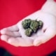 how many grams in an ounce of marijuana