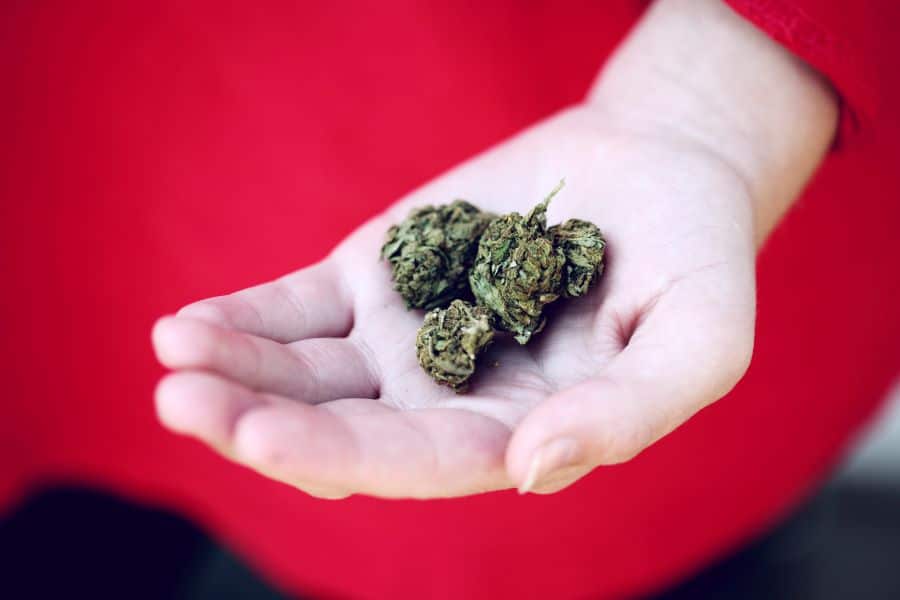 How Many Grams Are in an Ounce of Cannabis?