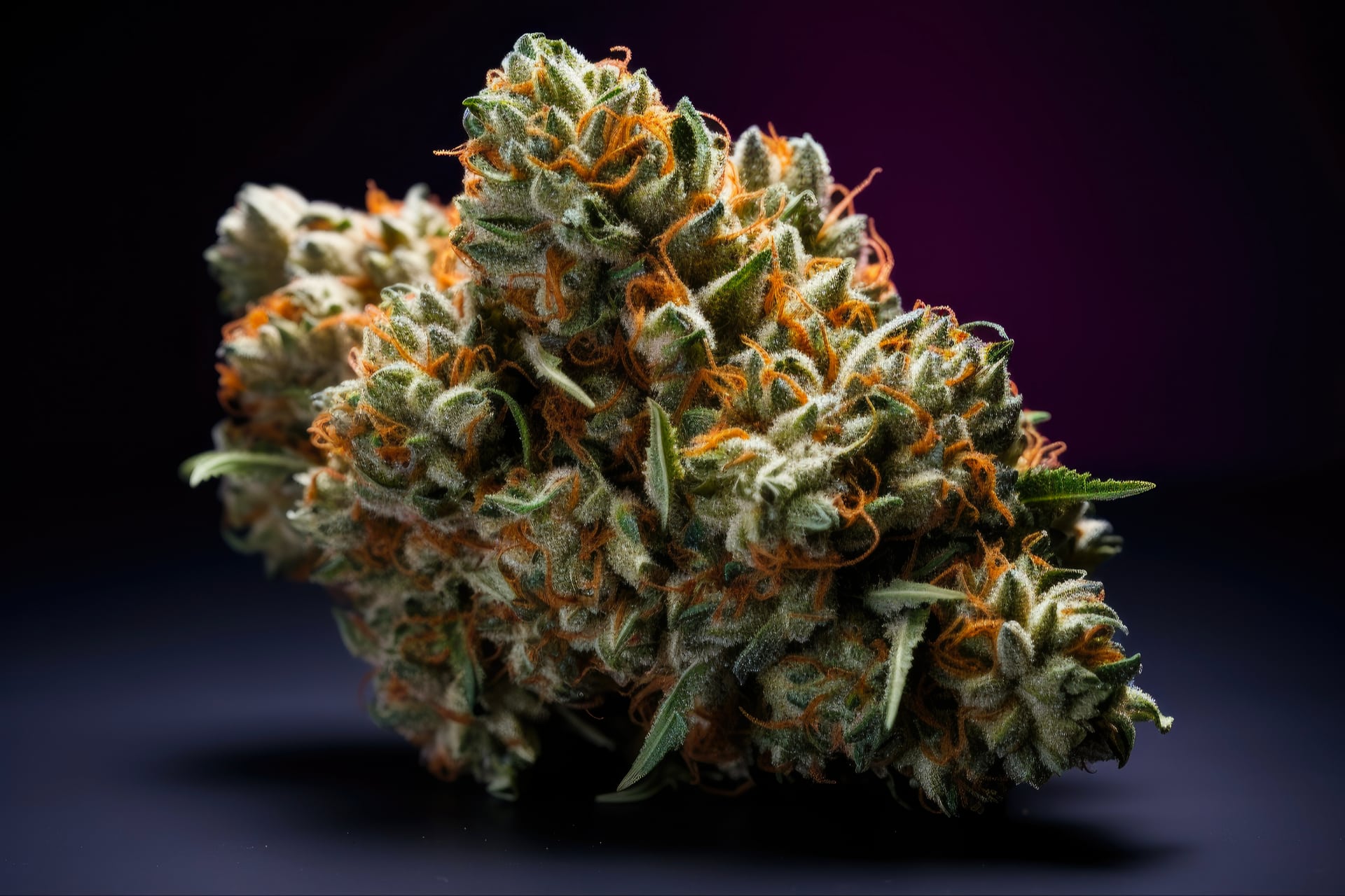 myrcene terpene effects 