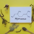 Myrcene Terpene