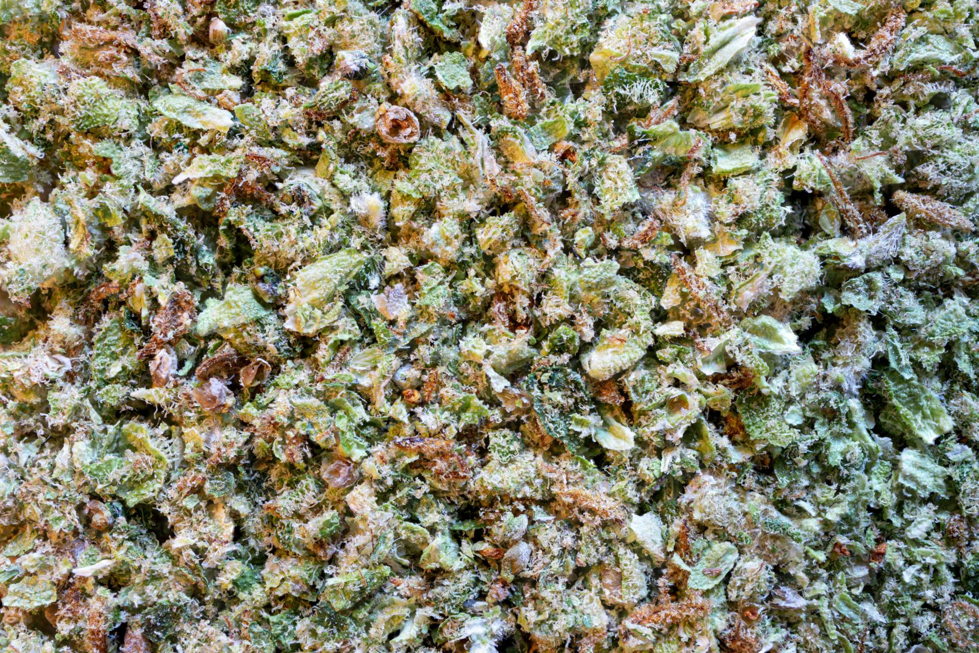  thc crumble 