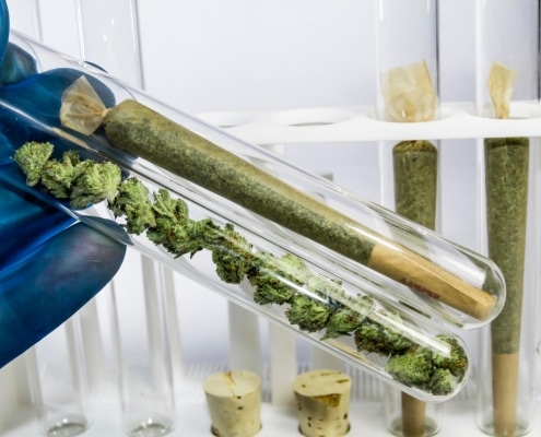 best indica strains