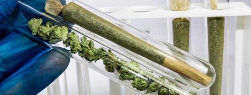 best indica strains