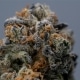 blue dream strain