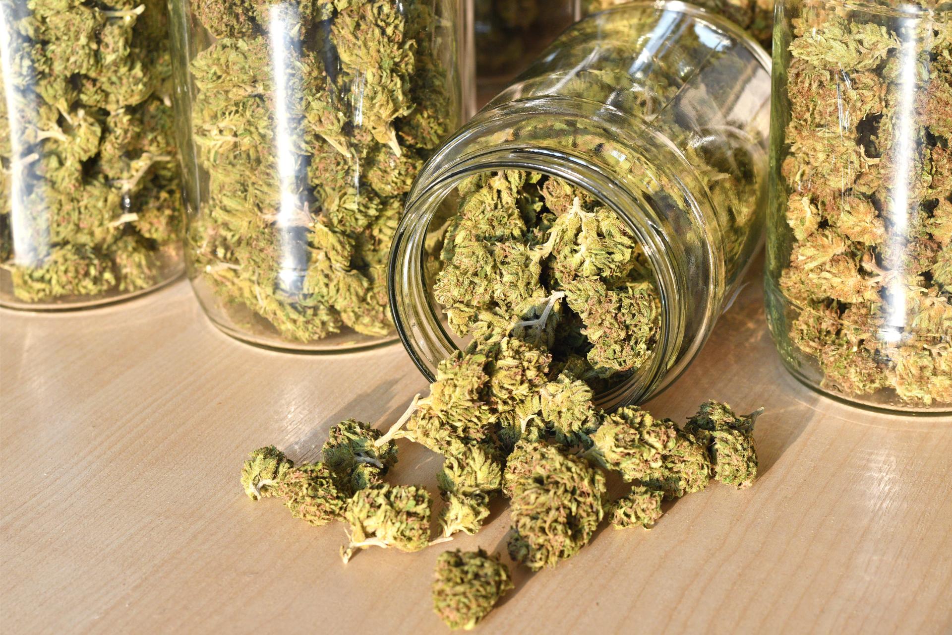 cannabis storage 