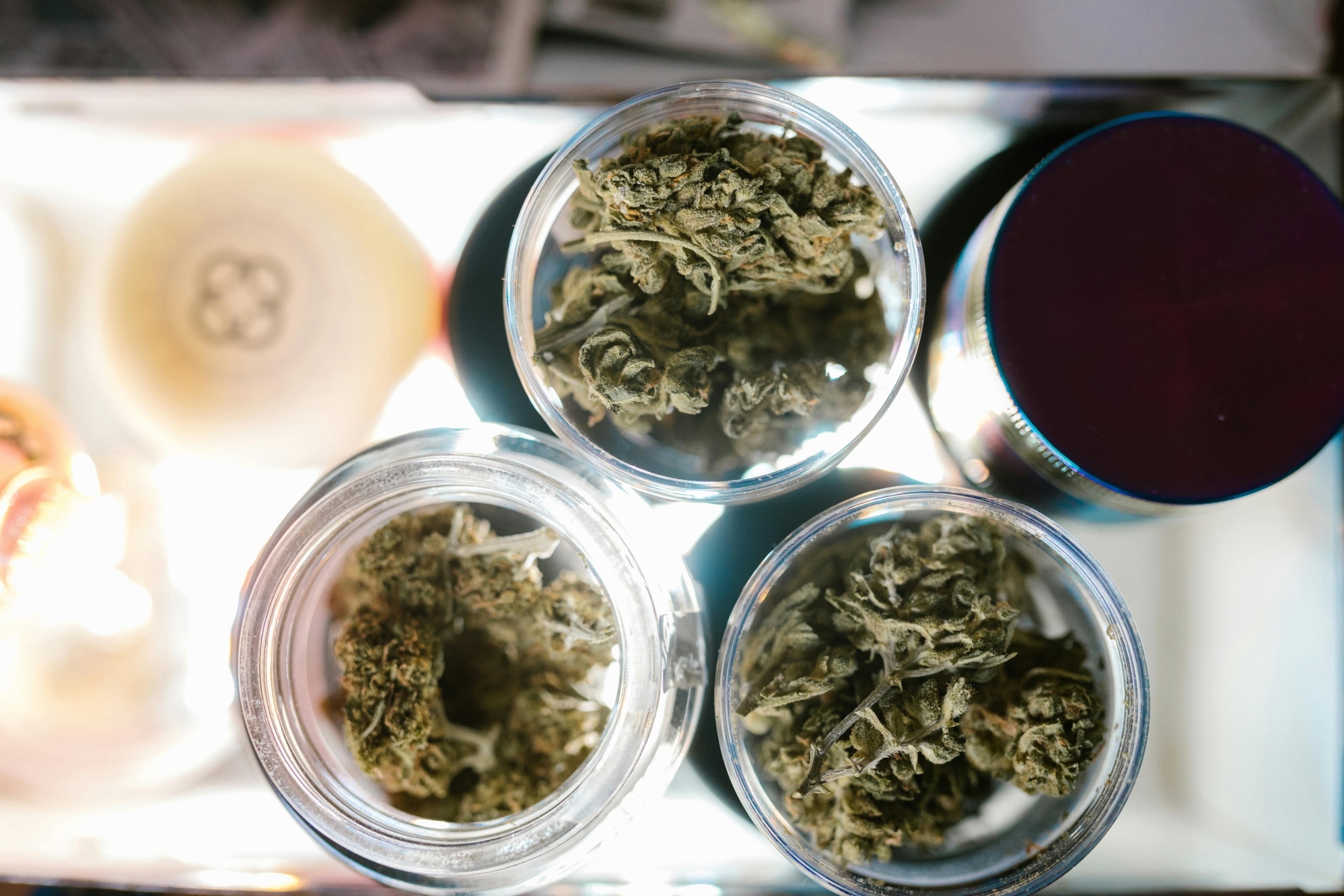 mold in weed