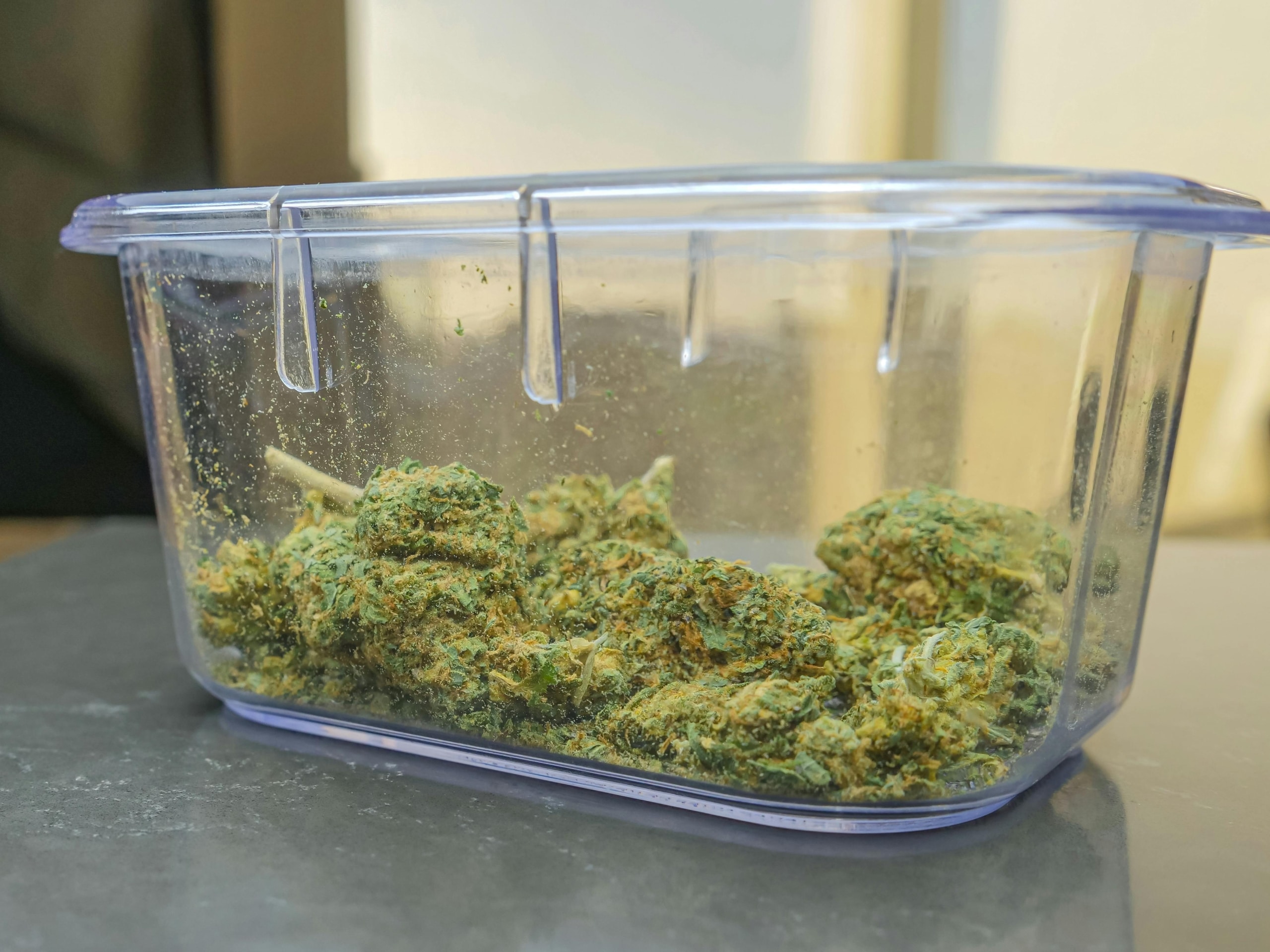 moldy weed
