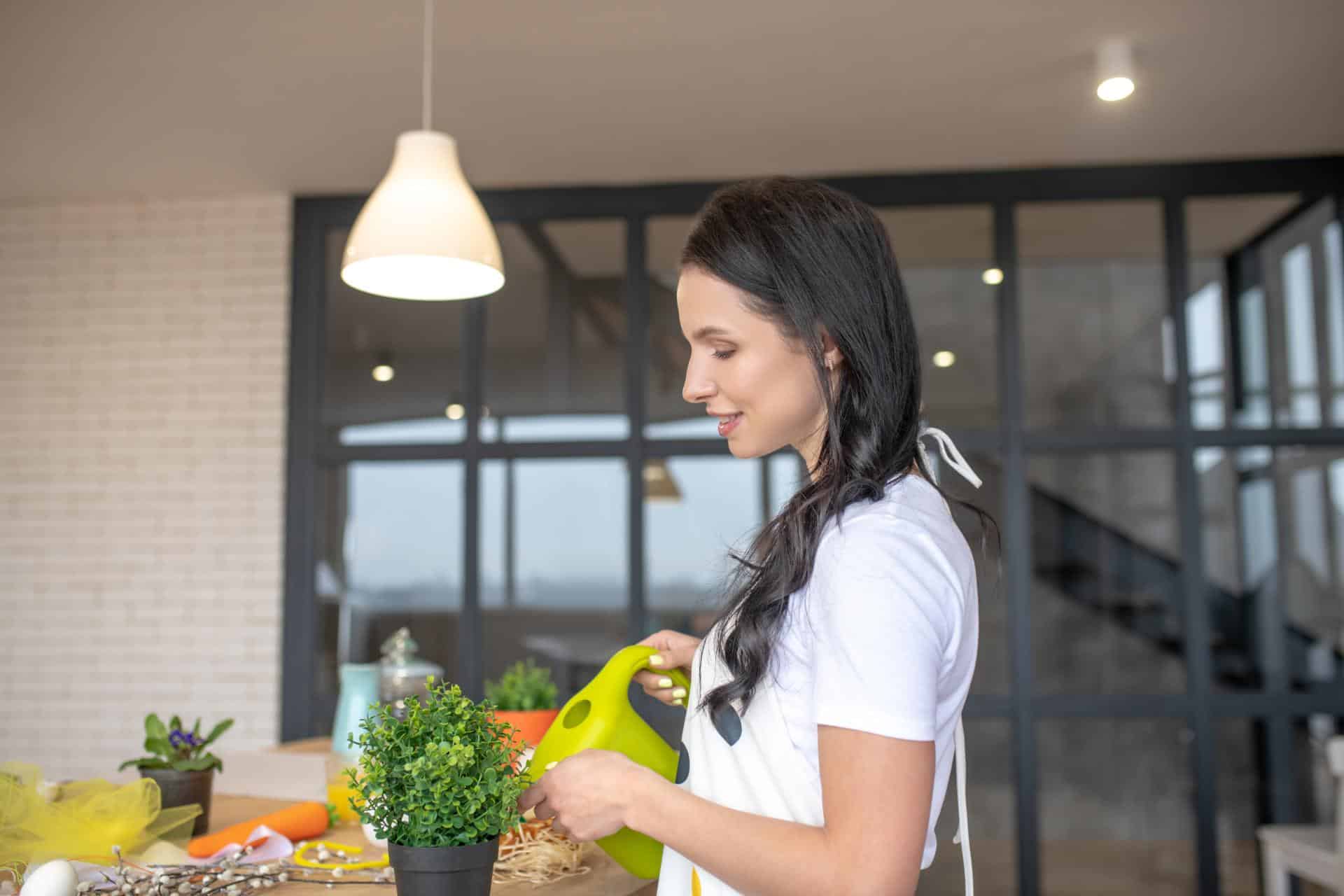 member berry strain effects
